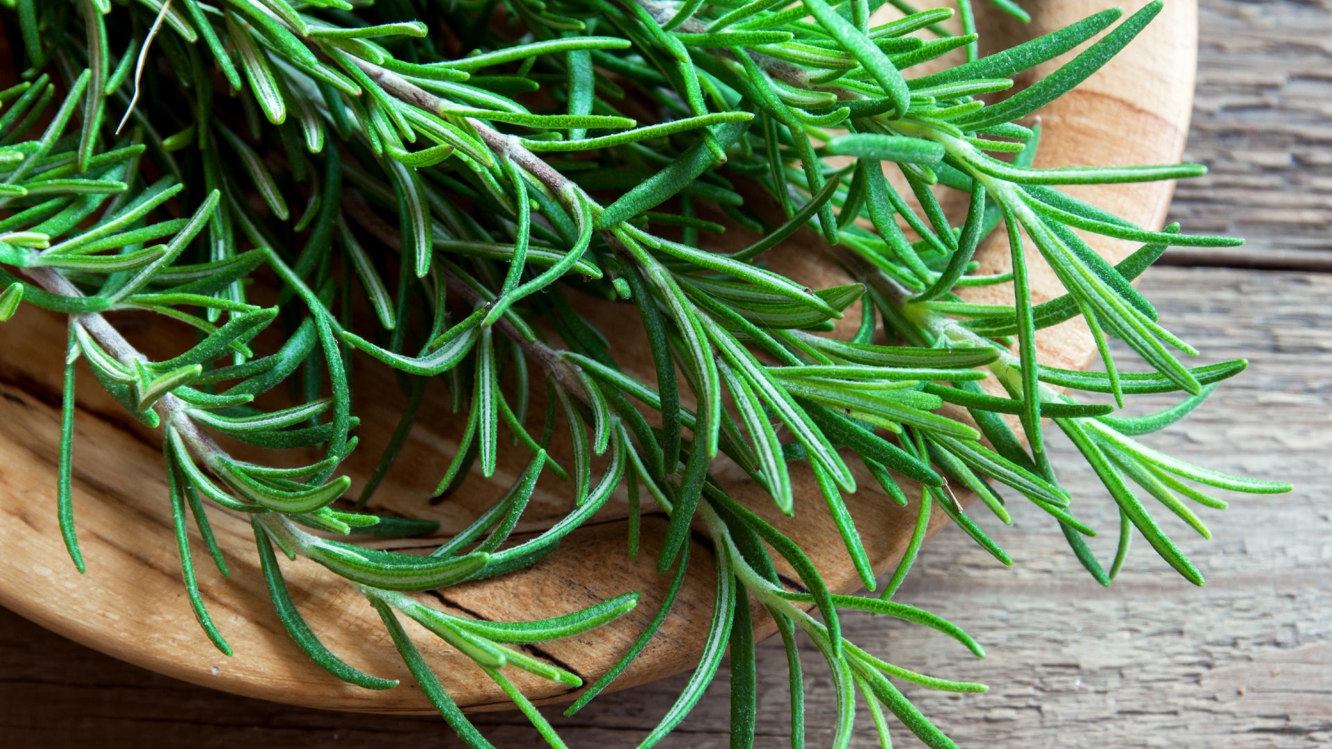 rosemary for scalp and hair