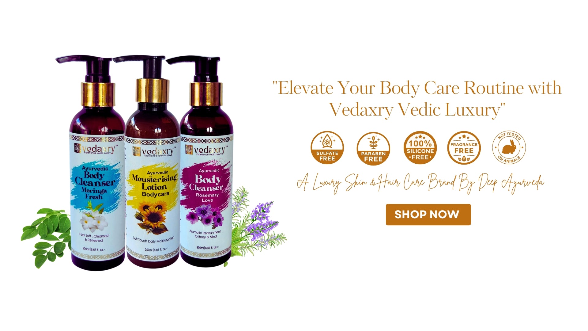 Vedaxry Body care Kit