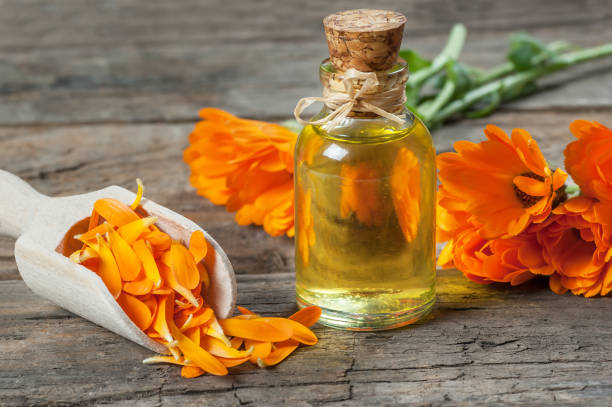 Calendula Oil