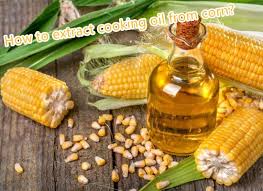 Corn_Extract