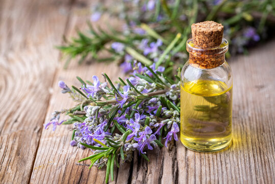 Rosemary_oil